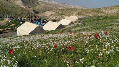חאן ארץ הצבי. | ארץ הצבי