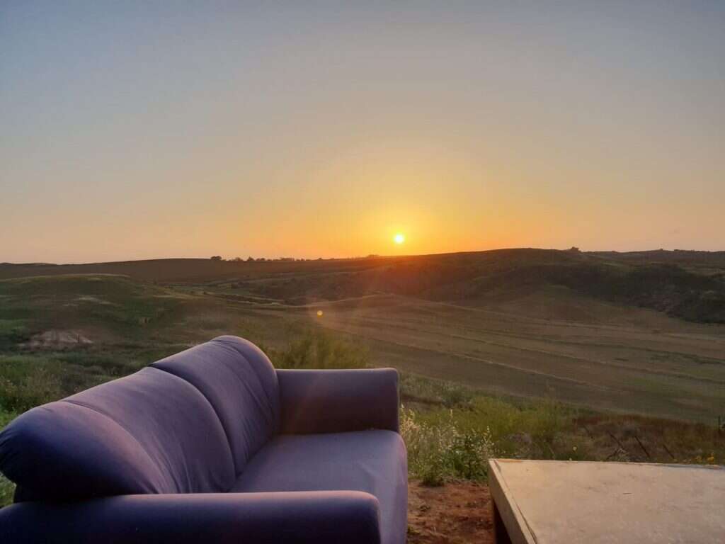 החווה של צביקה. | שלמה בר