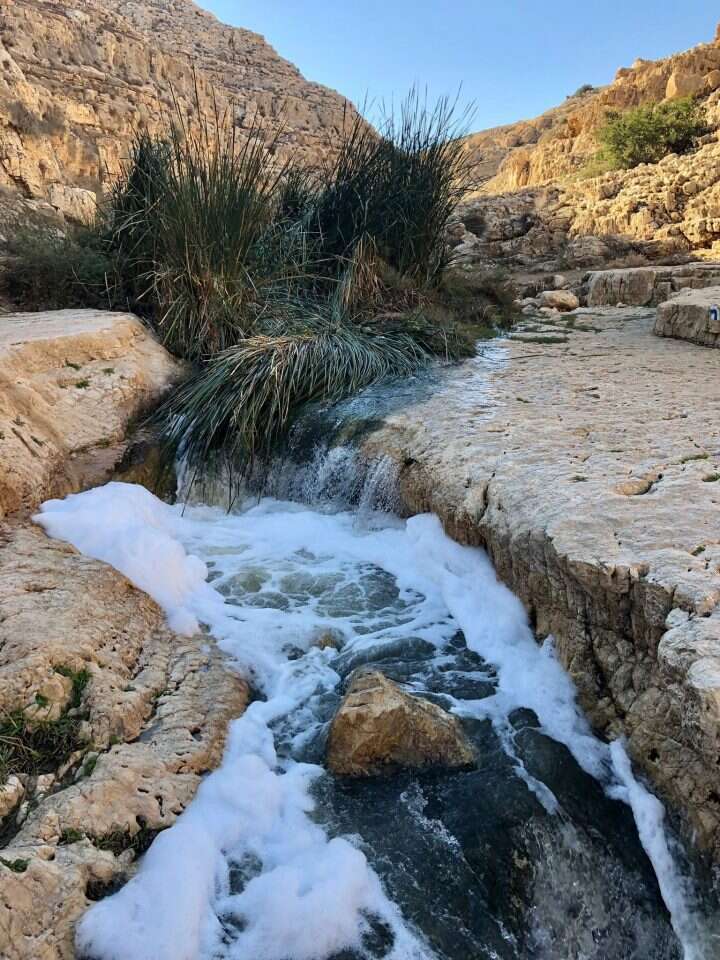 נסגר ונפתח כל הזמן. זיהום בנחל פרת. | רבקה שדה
