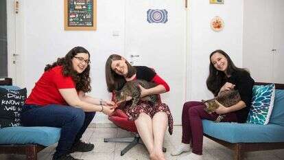 נעם ריבקין פנטון, פלאש 90 נעם ריבקין פנטון, פלאש 90