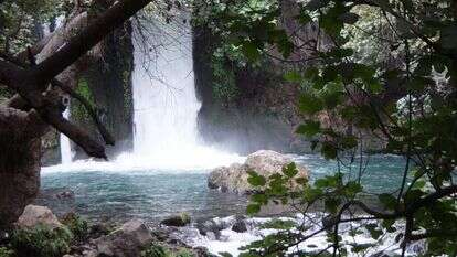 המצב בצפון טוב יותר. נחל הבניאס. | אילן מלסטר, המשרד להגנת הסביבה