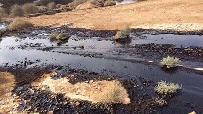 זיהום הנפט בערבה. | פלאש 90