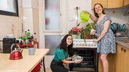 נעם ריבקין פנטון, פלאש 90