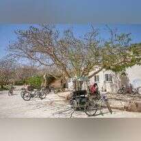 יוסי אלוני יוסי אלוני