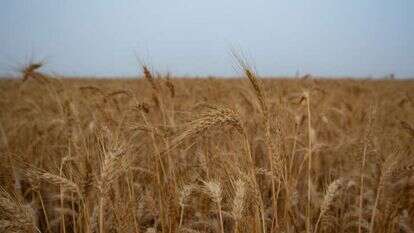 ספירת העומר. | מילה אביב,פלאש 90