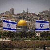 אוליבייה פיטוסי, פלאש90