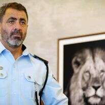 ניצב שמעון לביא. | אנצ'ו גוש, ג'יני