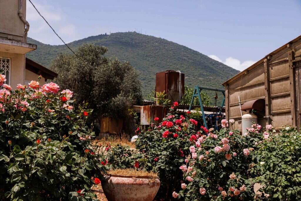 ברוך גרינברג ברוך גרינברג