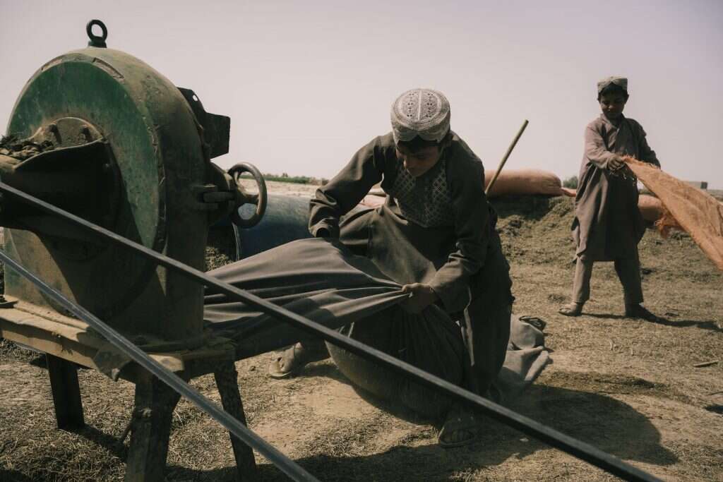 "אין מקומות עבודה אחרים". ילדים מפעילים מכונה לטחינת השרביטן. | לורנצו טוניולי, הוושינגטון פוסט
