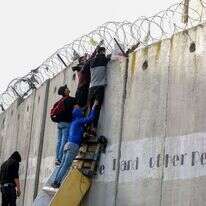 מטפסים על גדר ההפרדה. | פלאש 90