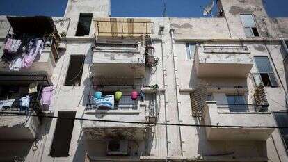 ביתי הוא דרך להתחבר לטבע בעיר שמנוכרת לו יותר ויותר. | נתי שוחט, פלאש 90