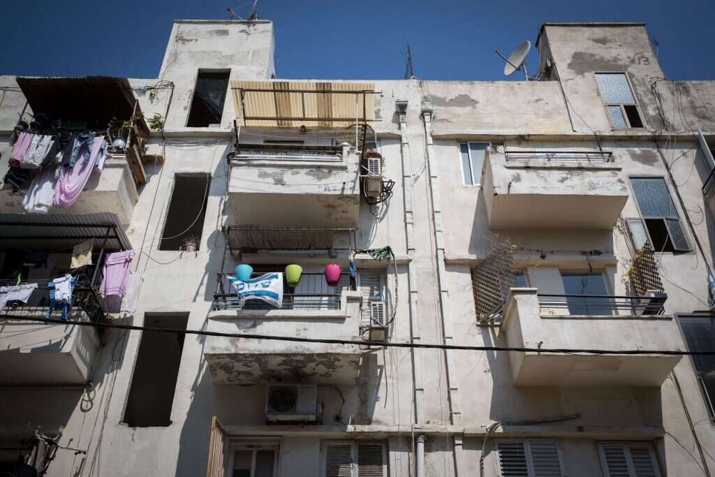 ביתי הוא דרך להתחבר לטבע בעיר שמנוכרת לו יותר ויותר. | נתי שוחט, פלאש 90