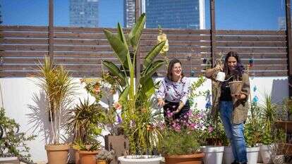 עידית נרקיס־כ"ץ ונטע פלקוביץ'. | אריק סולטן