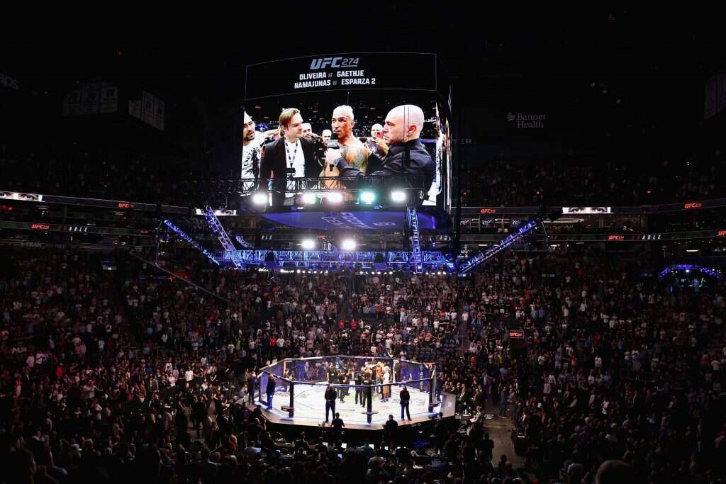 ענף פחות מסודר. קרב- UFC. | AFP