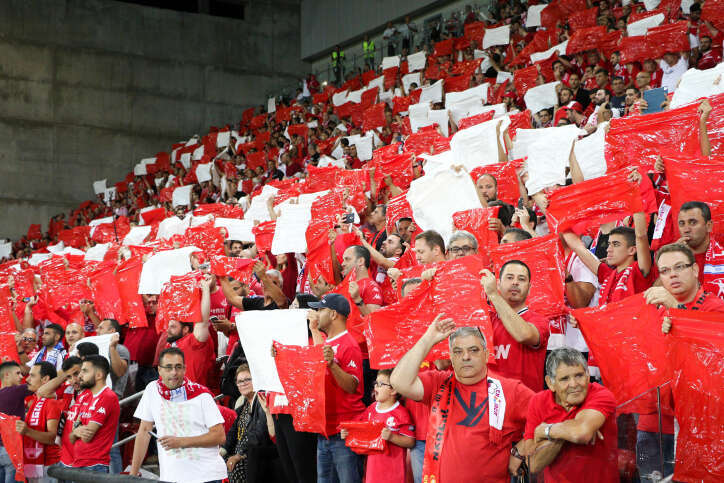אוהדי הפועל באר שבע. | דני מרון, פלאש 90