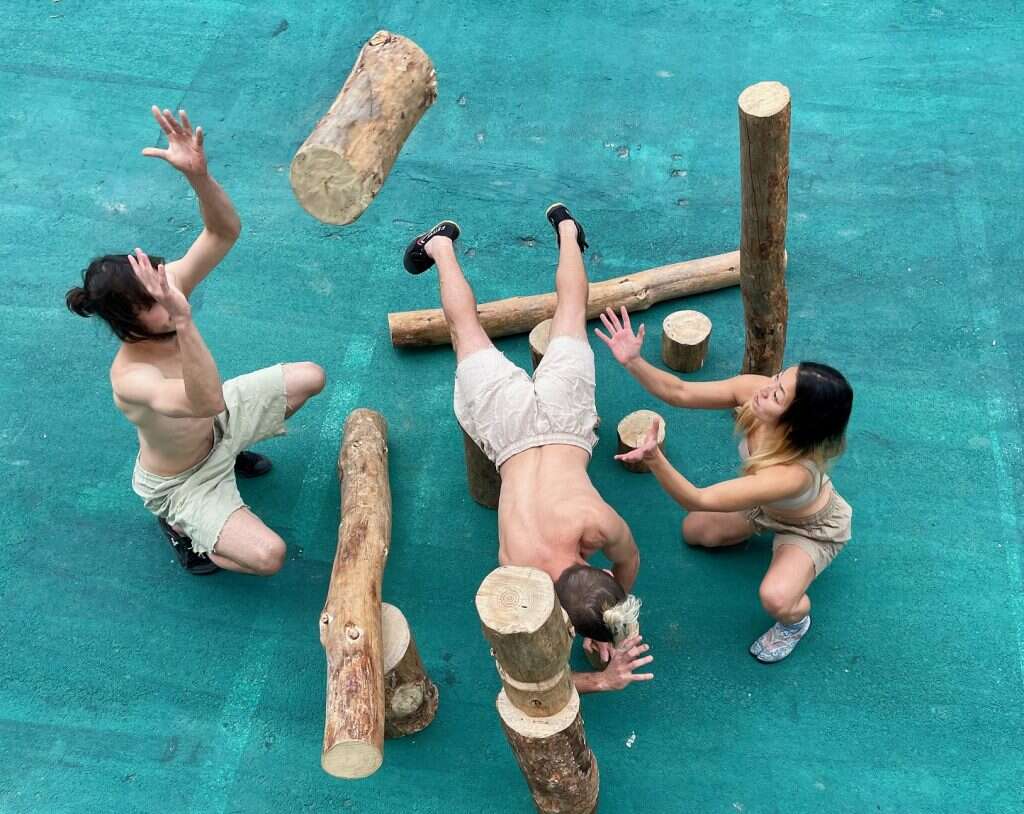 log out. קרדיט: טיטו סופרדיני