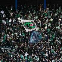 אוהדי מכבי חיפה. | פלאש 90