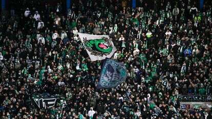 אוהדי מכבי חיפה. | פלאש 90