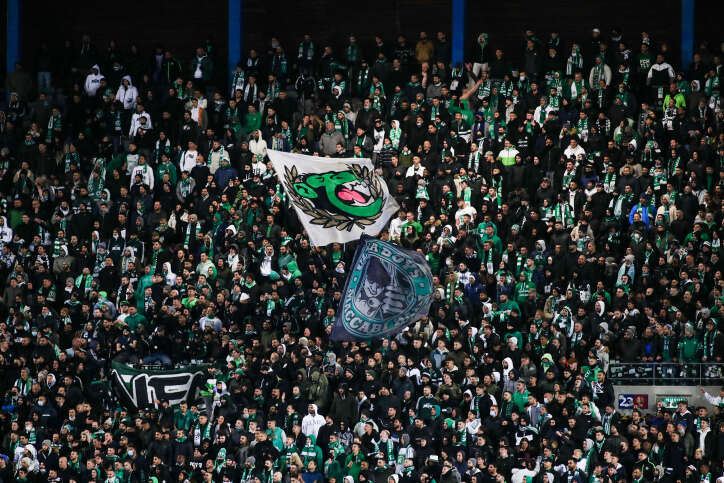 אוהדי מכבי חיפה. | פלאש 90