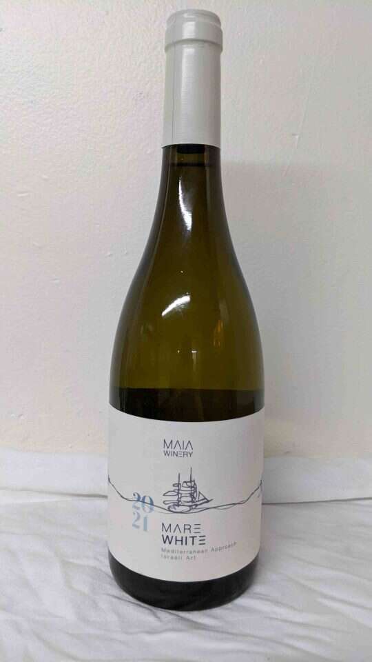 אלישע נקונצ'ני