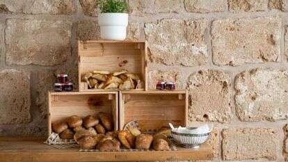 מיכאל טומרקין