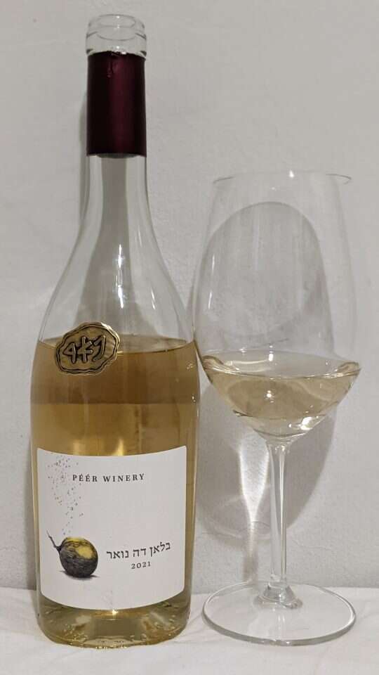 אלישע נקונצ'ני