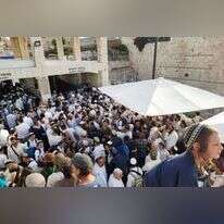 מאות יהודים ממתינים בכניסה להר הבית. | ארנון סגל
