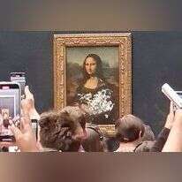 המונה ליסה לאחר התקיפה. | מסך מטוויטר