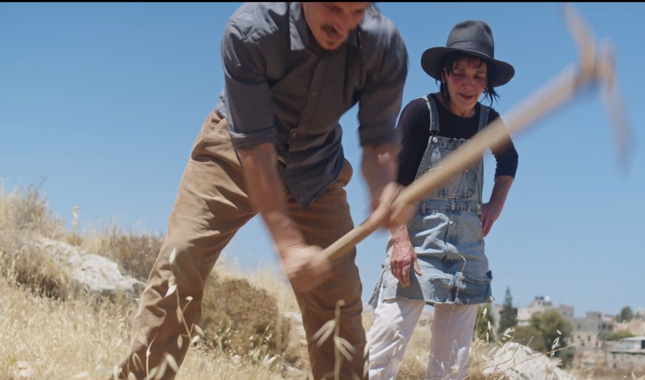 להכין את הקרקע. אריאלה בית–און, מתוך הסדרה. | מסך כאן 11