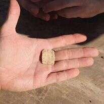 הכתובת שנמצאה לאחרונה בהר עיבל. | רועי חדי, עבור דוברות שומרון