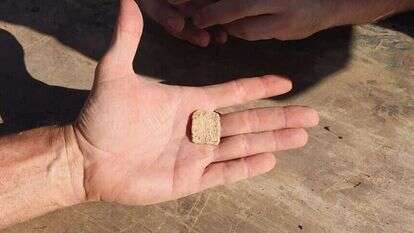 הכתובת שנמצאה לאחרונה בהר עיבל. | רועי חדי, עבור דוברות שומרון