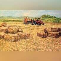 יונתן טל, "בשדות רמת דוד", 2008