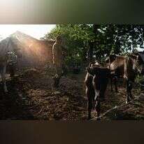 Sarah L. Voisin Washington Post