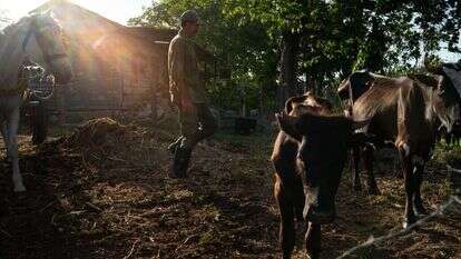 Sarah L. Voisin Washington Post