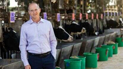 פורר ברפת בבית־דגן, השבוע. | אריק סולטן