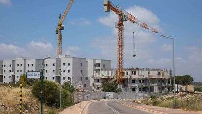 עמנואל. | לירון מולדובן