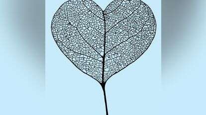 איור: שאטרסטוק