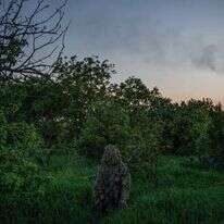 אוקסנה ורובה הצלפים שלה. | וויצ'ך גרששינסקי, וושינגטון פוסט