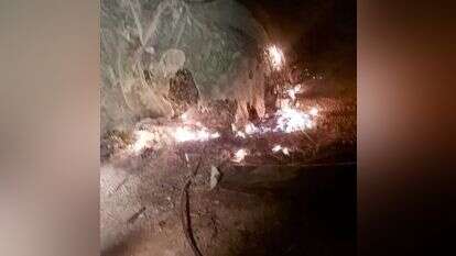 ההצתה במטע הדובדבנים. | ירון רוזנטל