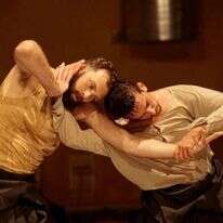 פרדס. | אלעד דבי