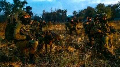 לוחמי צה"ל במעצרים ברחבי יו"ש. | דובר צה"ל