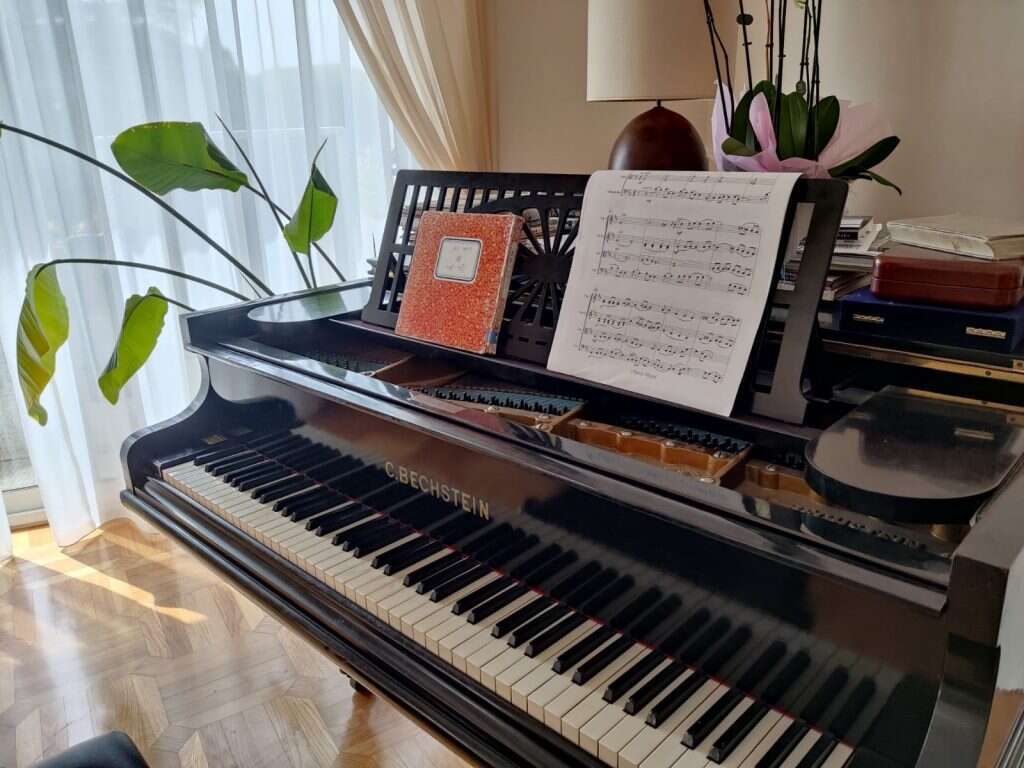 חלק מארסנל הכלים הדיפלומטי. תווים של נעמי שמר בדירת השגריר. | הודיה כריש־חזוני