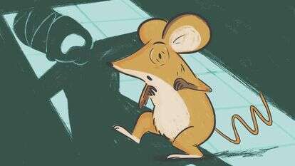 איור: רעות בורץ