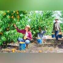 עבודה. | שארטסטוק