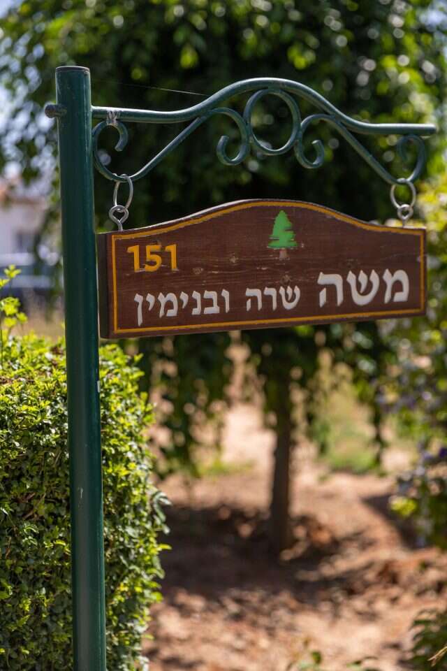 קאוקג'י, מאחוריך. | ברורך גרינברג