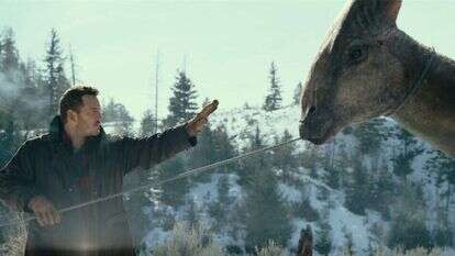 באדיבות טוליפ אנטרטיינמנט