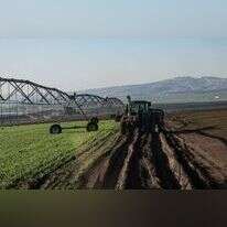 ענת הרמוני, פלאש 90