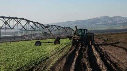 ענת הרמוני, פלאש 90 ענת הרמוני, פלאש 90