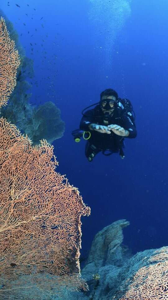 באדיבות המרואיין