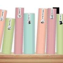 צילומים: גטי אימג'ס, שאטרסטוק